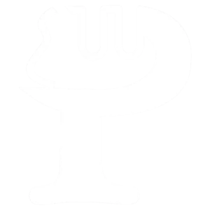 بروتيس لتجارة الملابس الرياضية